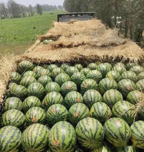 2021年吃瓜大全,盘点娱乐圈、社会热点那些事儿